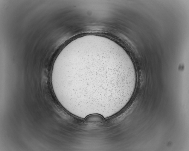 X0000100961449200807221134