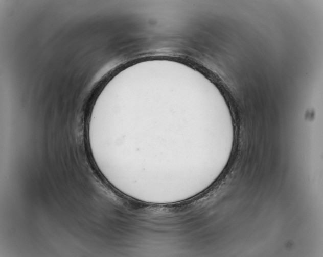 X0000100961450200807221134