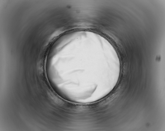 X0000100961451200807221134