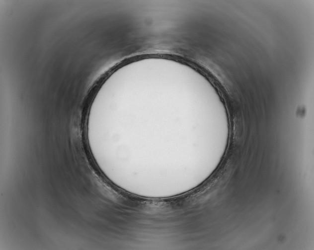 X0000100961452200807221134