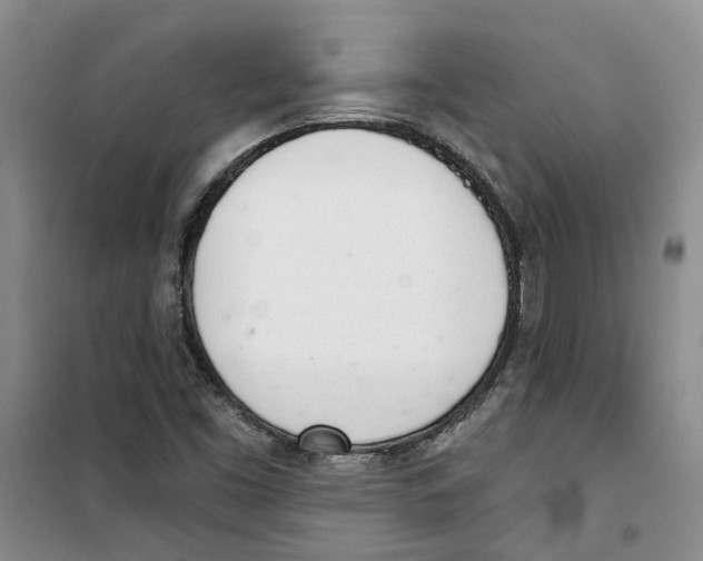 X0000100961453200807221134