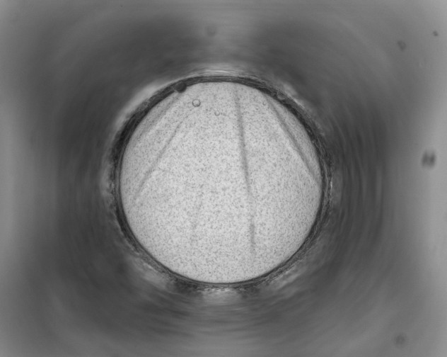 X0000100961454200807221134