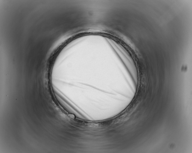 X0000100961456200807221134