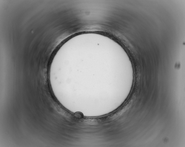 X0000100961457200807221133