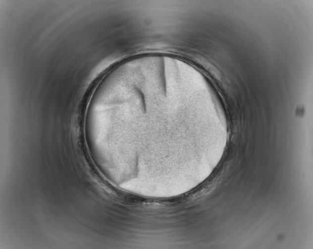 X0000100961458200807221133