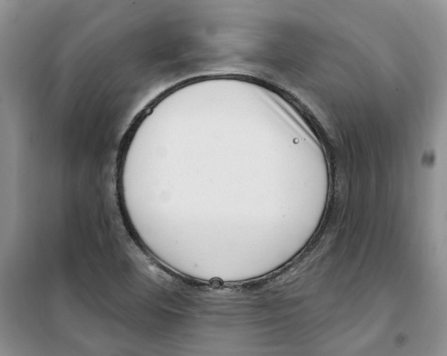 X0000100961460200807221133