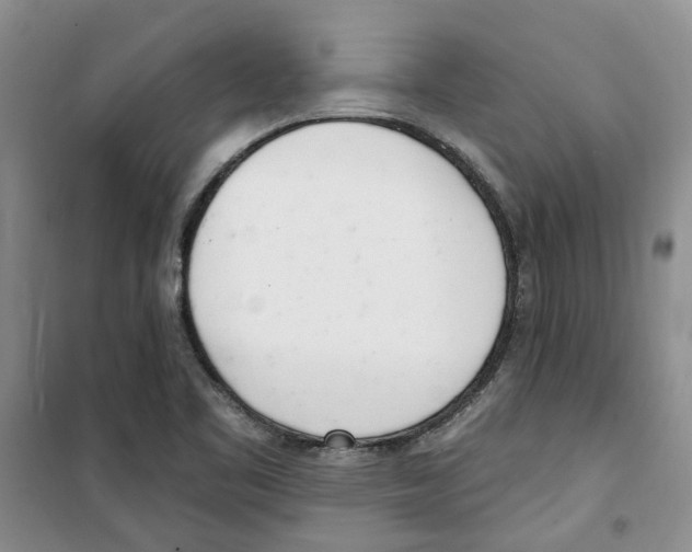 X0000100961461200807221133