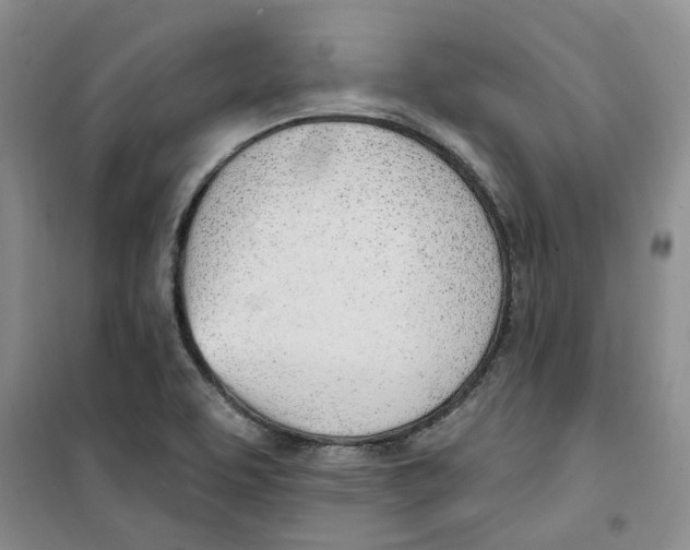 X0000100961463200807221133