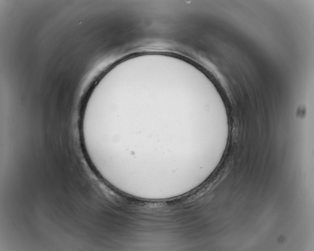 X0000100961464200807221133