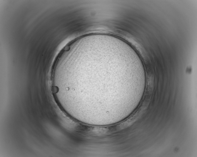 X0000100961466200807221133