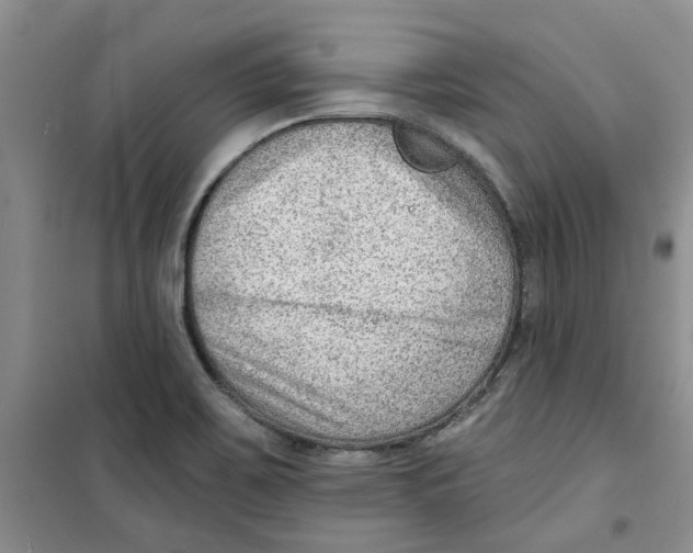 X0000100961467200807221133