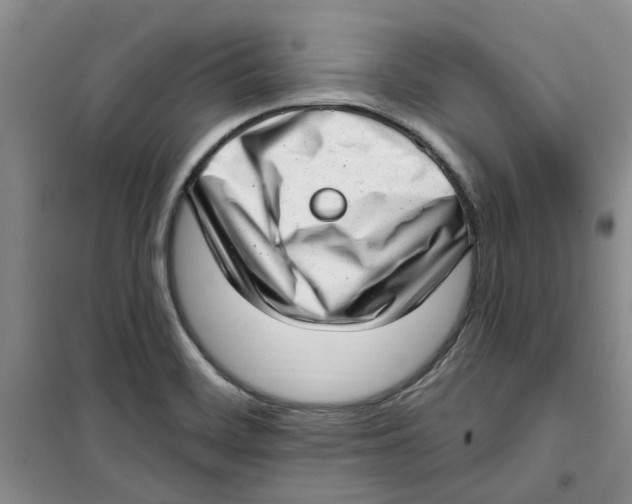 X0000100961468200807221133