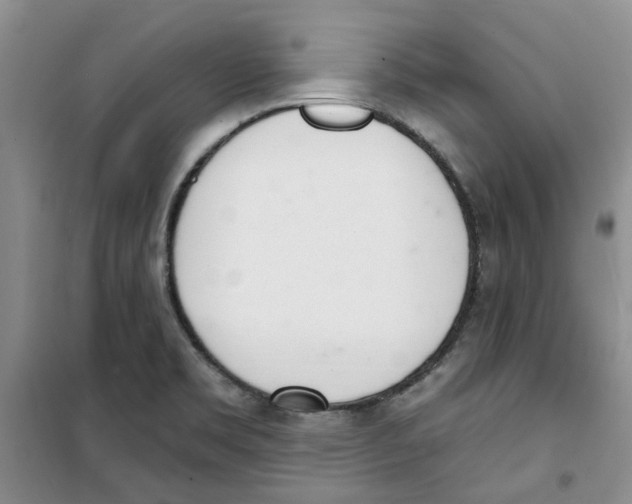 X0000100961469200807221133