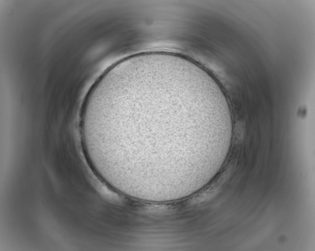 X0000100961470200807221133