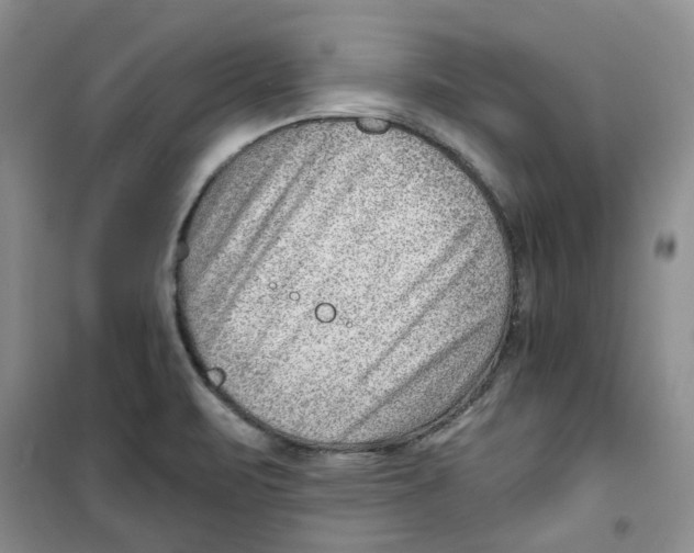 X0000100961471200807221133