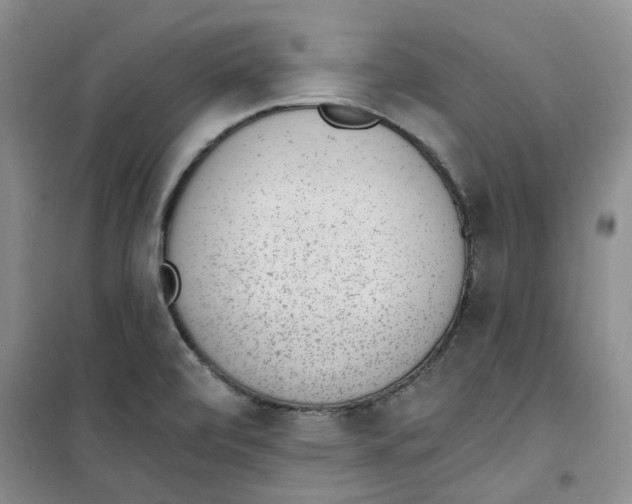 X0000100961472200807221133