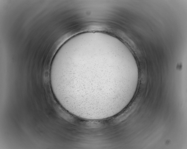 X0000100961473200807221133