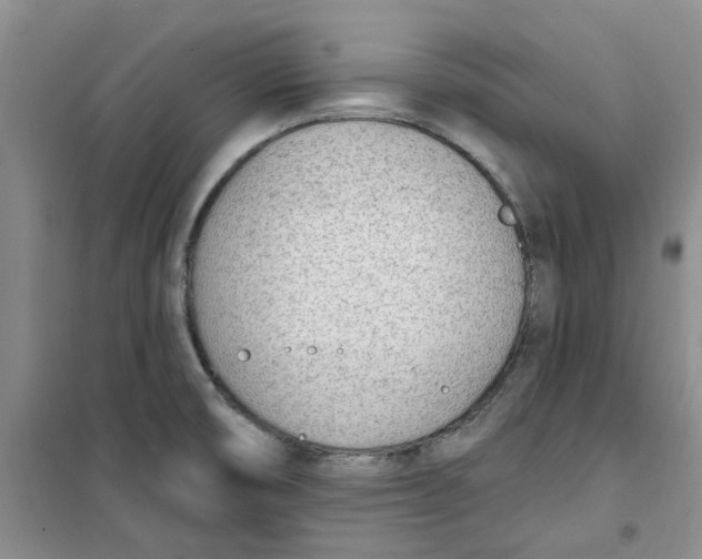 X0000100961474200807221133