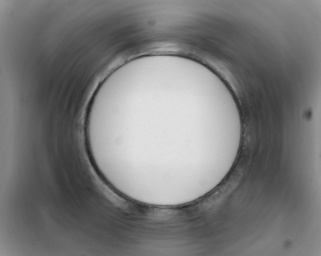 X0000100961475200807221133