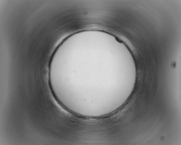 X0000100961476200807221133