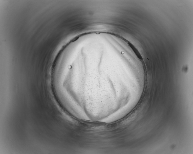 X0000100961477200807221133