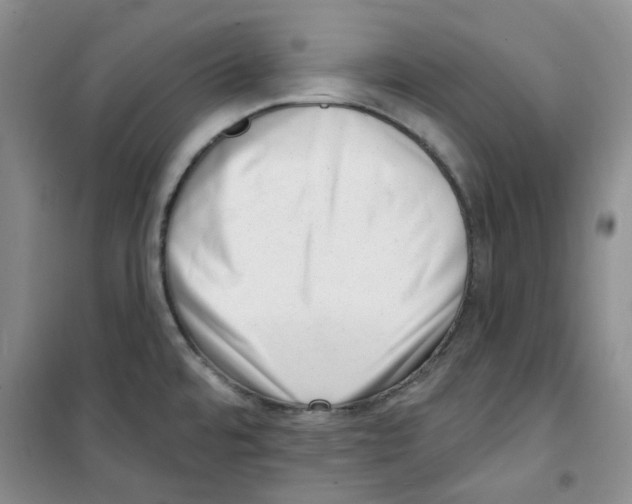 X0000100961480200807221133