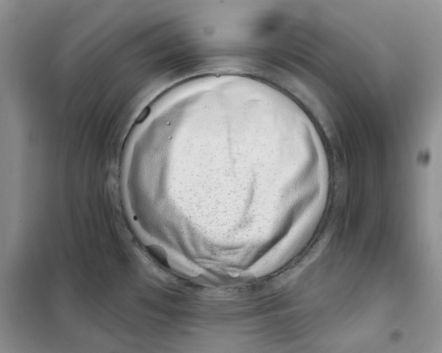 X0000100961481200807221133