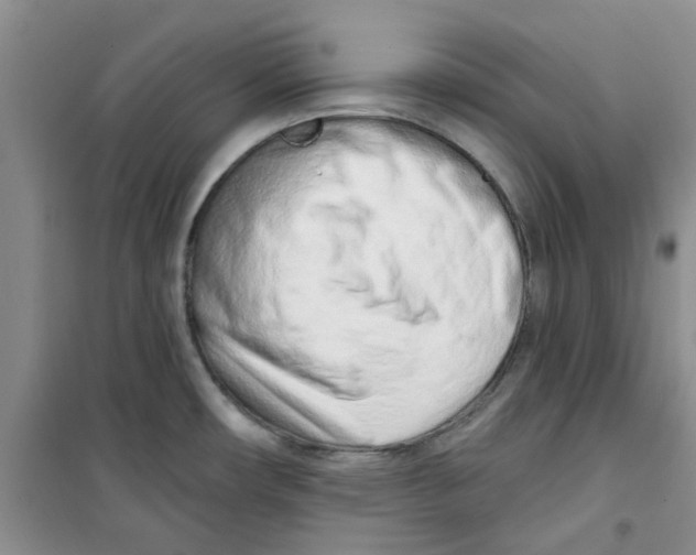 X0000100961482200807221133