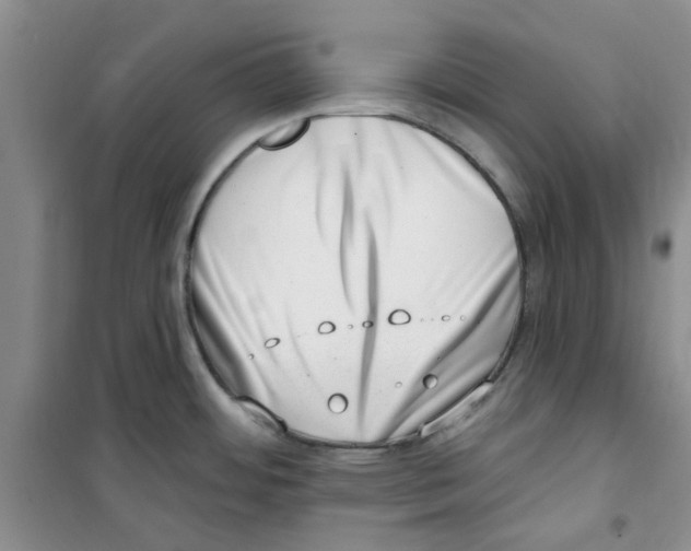 X0000100961484200807221133