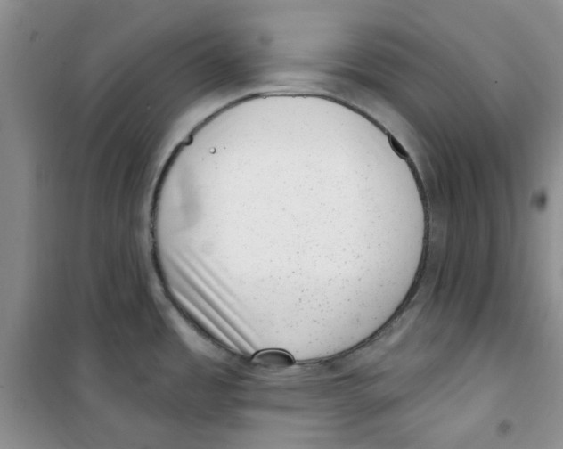 X0000100961485200807221133