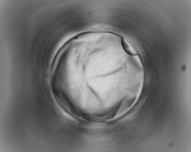 X0000100961486200807221133