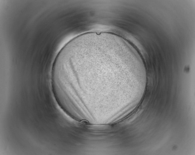 X0000100961487200807221133