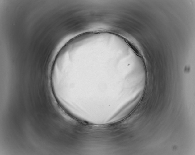 X0000100961488200807221133