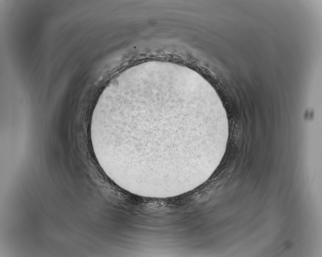 X0000100961489200807221132