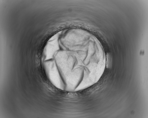 X0000100961491200807221132