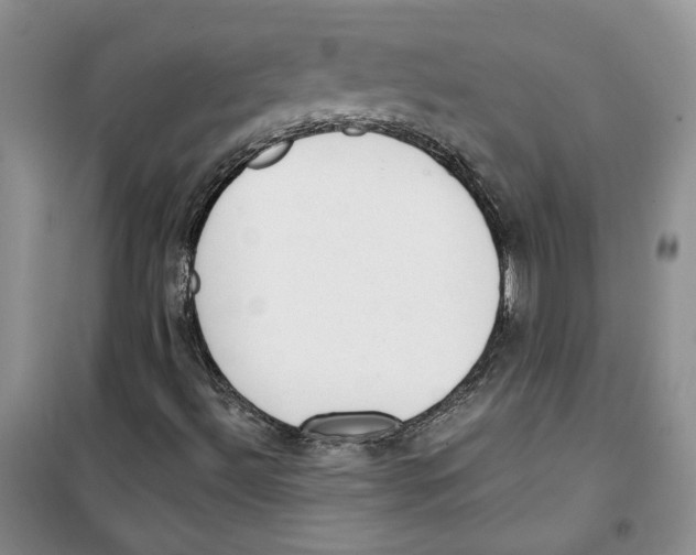 X0000100961492200807221132