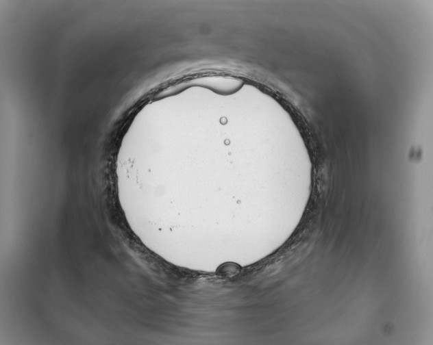 X0000100961496200807221132