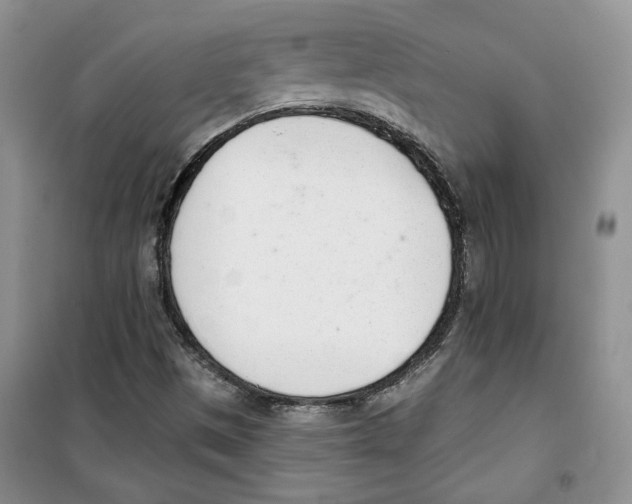 X0000100961497200807221132