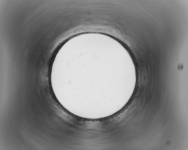 X0000100961498200807221132