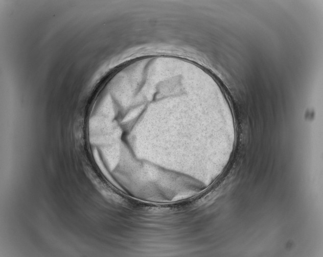 X0000100961499200807221132