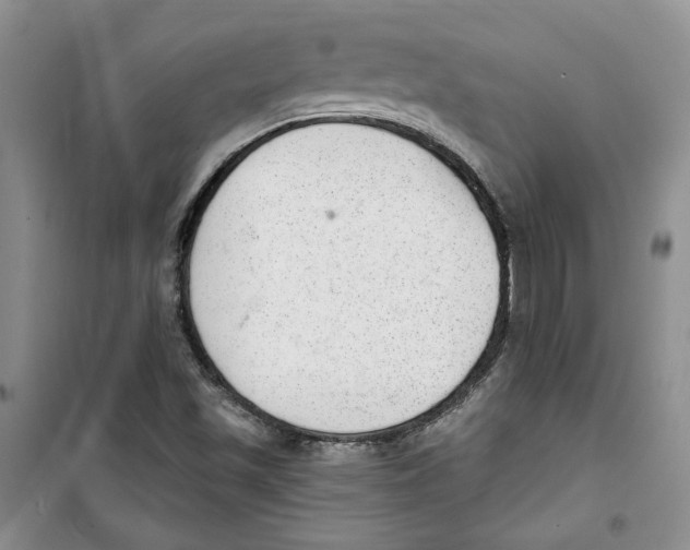 X0000100961501200807221132