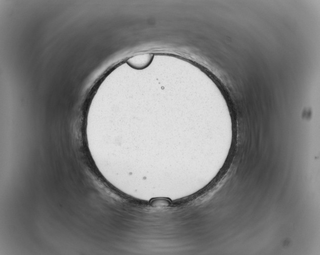 X0000100961502200807221132