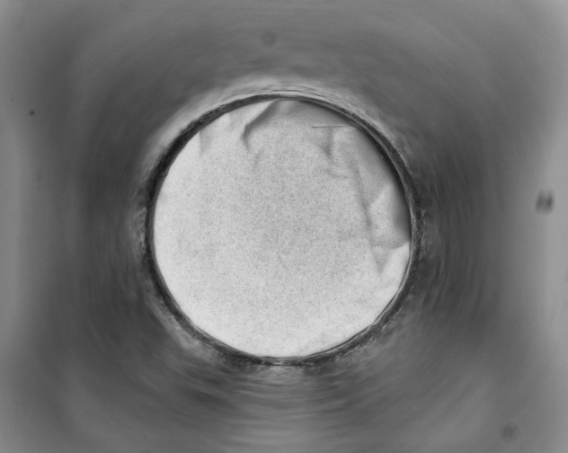 X0000100961503200807221132