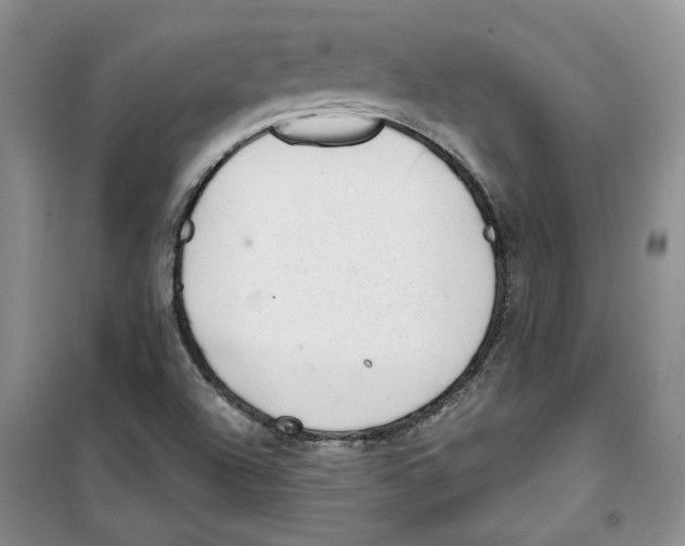 X0000100961504200807221132