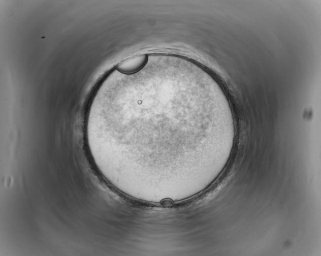 X0000100961506200807221132