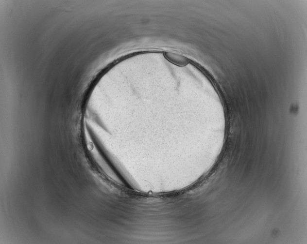 X0000100961507200807221132