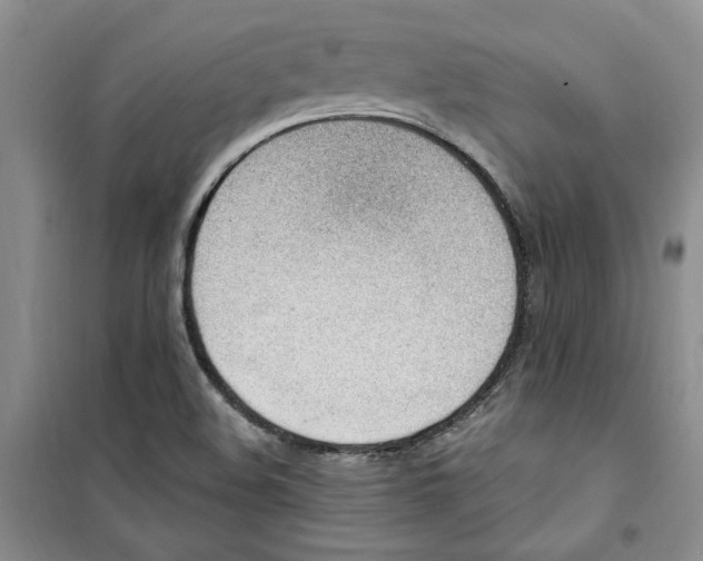 X0000100961508200807221132