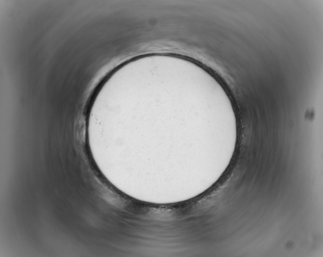 X0000100961509200807221132