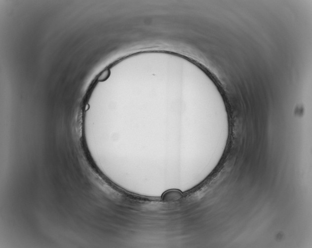 X0000100961510200807221132