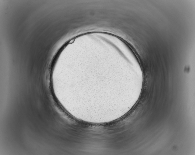 X0000100961511200807221133